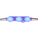 DOTLUX LED module ACplus 1.5W 160° IP67 blue 100 chain