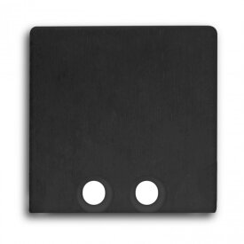 Alu-Endkappe für Profil Typ DXA8 und Abdeckung Typ S 2 Stück schwarz