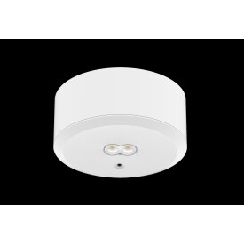 DOTLUX Lampe de sécurité à LED EXITtop avec autotest incl. 2 lentilles interchangeables blanc 3h B-Ware