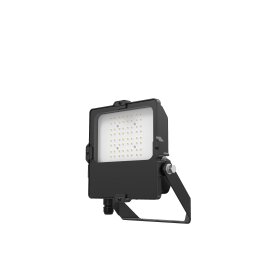DOTLUX LED-Fluter LENSplus 50W 5000K 60*120° Abstrahlwinkel