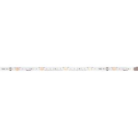 DOTLUX LED strip 48W 8mm 5000K IP20 5m roll incl. 15cm connection cable one-sided