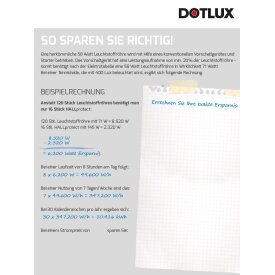 DOTLUX Infoflyer HALLprotect DIN A4